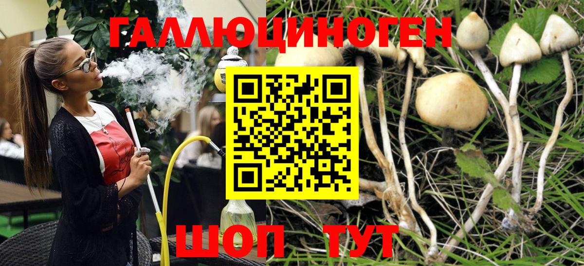 Галлюциногенные грибы мухоморы Гурьевск