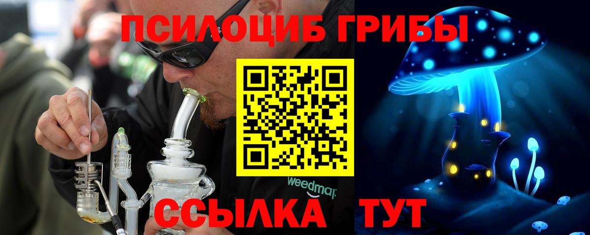 Гурьевск  Псилоцибиновые грибы ЛСД  Вход с VPN 